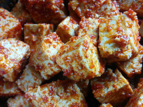 Sofine-tofu-naturel-recept-tandoori-trotse-moeders-3