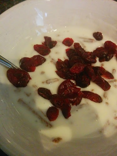 craisins-yoghurt-copyright-trotse-moeders