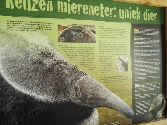 bezoek-gaia-zoo-limburg-dierentuin-foto-copyright-trotse-moeders-20