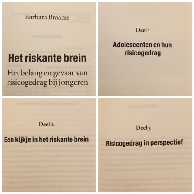 Het riskante brein Het belang en gevaar van risicogedrag